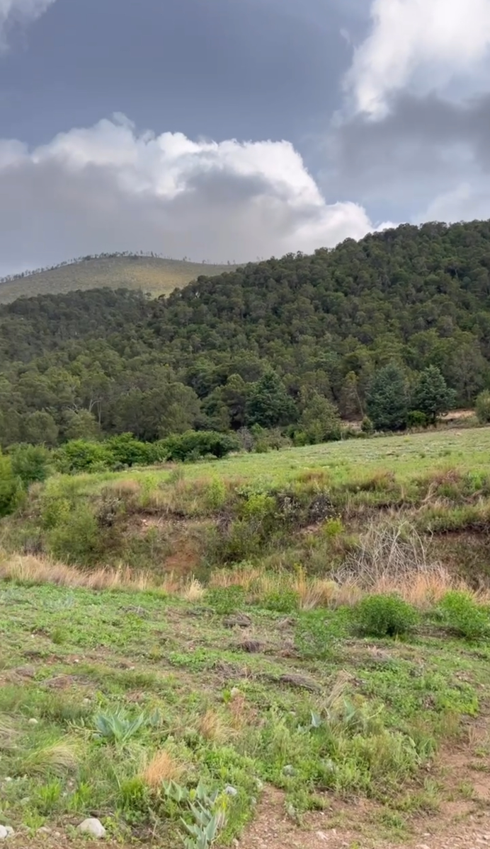 Terreno en venta en La Efigenia, Arteaga — foto 1 de 4