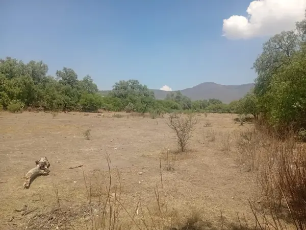 Terreno en venta en Coyotillos, Apaxco — foto 3 de 10