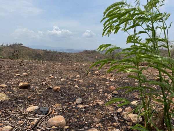 Terreno en venta en Guacamayas Comercial, Lázaro Cárdenas — foto 2 de 5