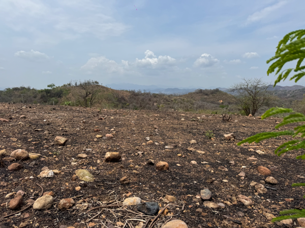 Terreno en venta en Guacamayas Comercial, Lázaro Cárdenas — foto 3 de 5