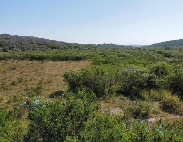 Terreno en venta en Tetecala, Tetecala — foto 3 de 18
