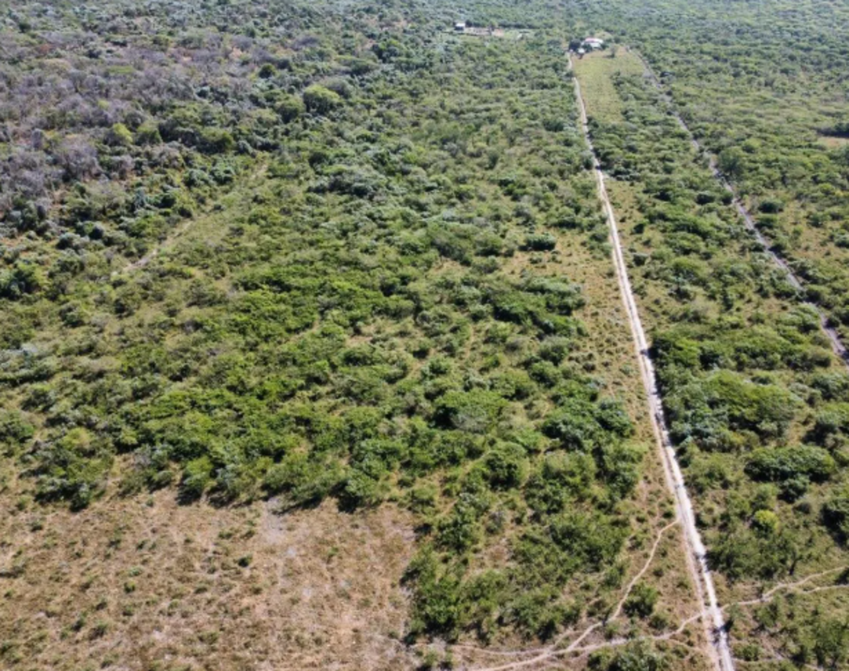 Terreno en venta en Tetecala, Tetecala — foto 1 de 18