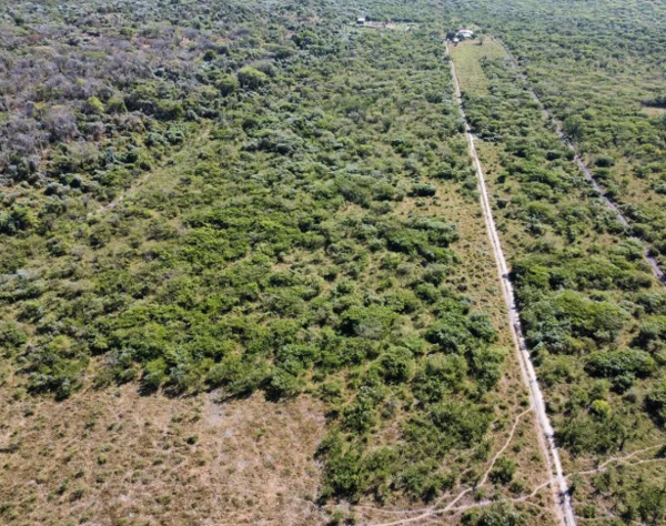 Terreno en venta en Tetecala, Tetecala, Morelos