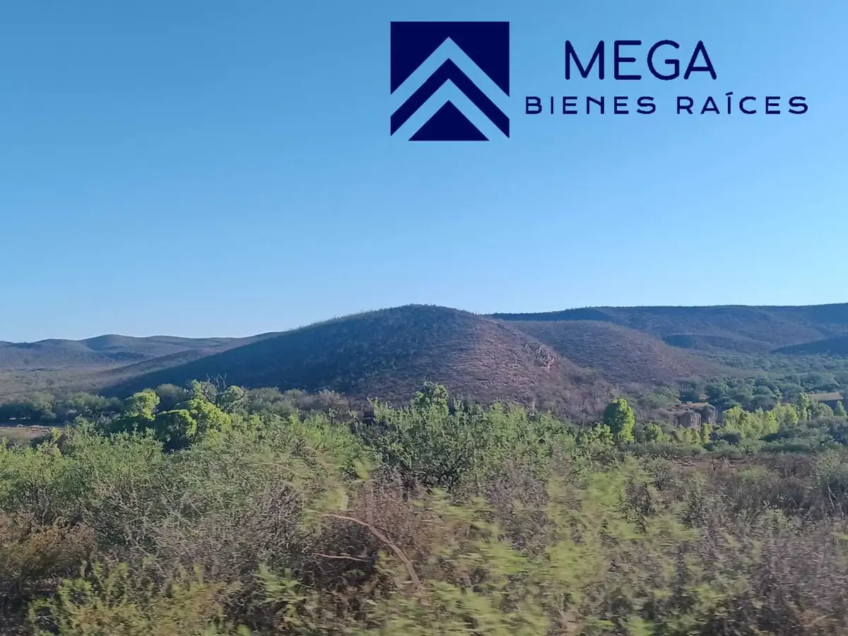 Terreno en venta en San Pedro del Gallo, San Pedro del Gallo — foto 1 de 8