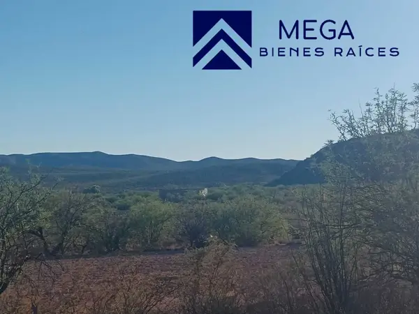 Terreno en venta en San Pedro del Gallo, San Pedro del Gallo — foto 2 de 8