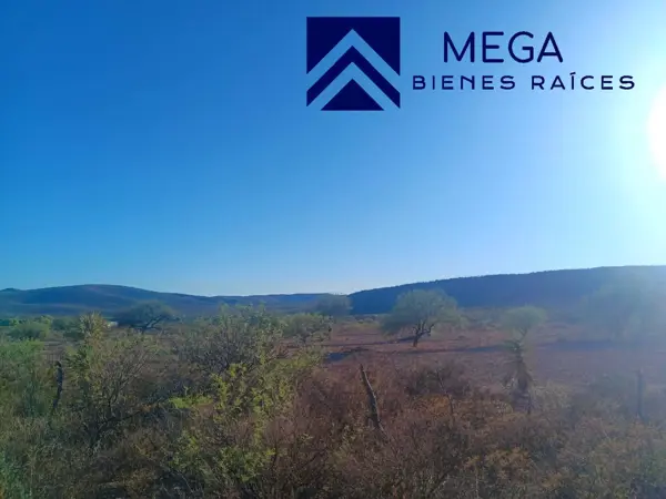Terreno en venta en San Pedro del Gallo, San Pedro del Gallo — foto 3 de 8