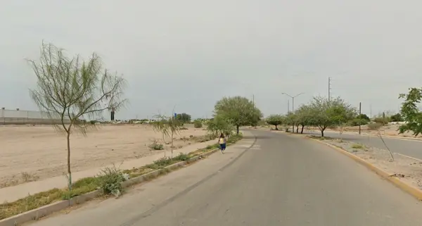 Terreno en venta en Lagos, Torreón — foto 3 de 8