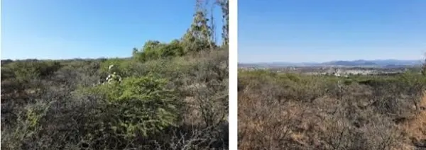 Terreno en venta en El Progreso (las Trojas), Corregidora — foto 2 de 5
