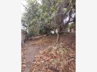 Terreno en venta en San Agustin Etla, San Agustín Etla — foto 3 de 5
