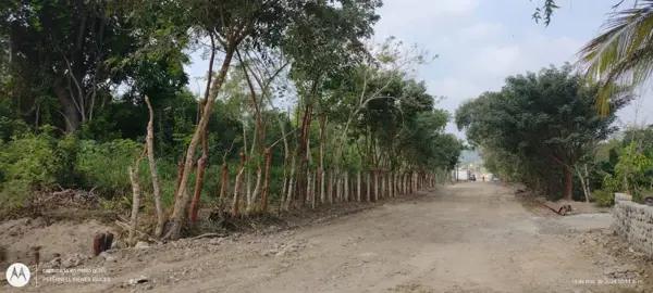 Terreno en venta en Primavera, Poza Rica de Hidalgo — foto 2 de 2