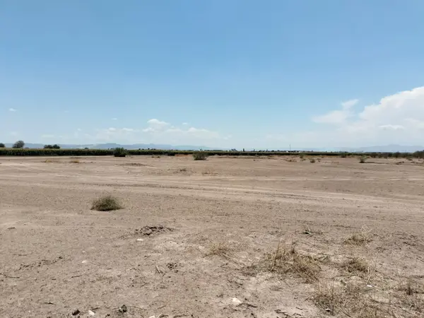 Terreno ejidal en Venta Fte a Carretera – Ejido Maravillas, Matamoros, Coahuila