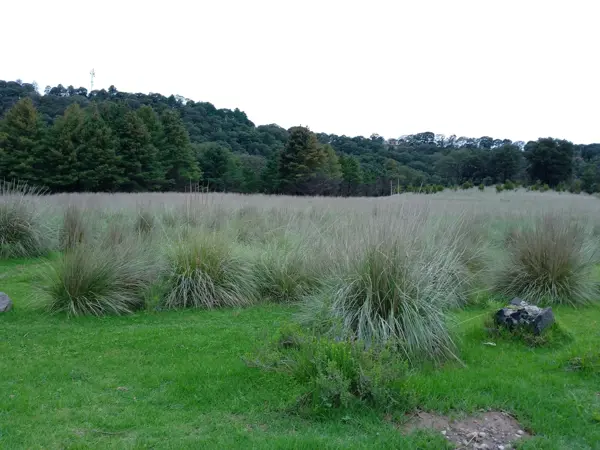 Terreno en venta en San Miguel Ameyalco, Lerma — foto 2 de 4