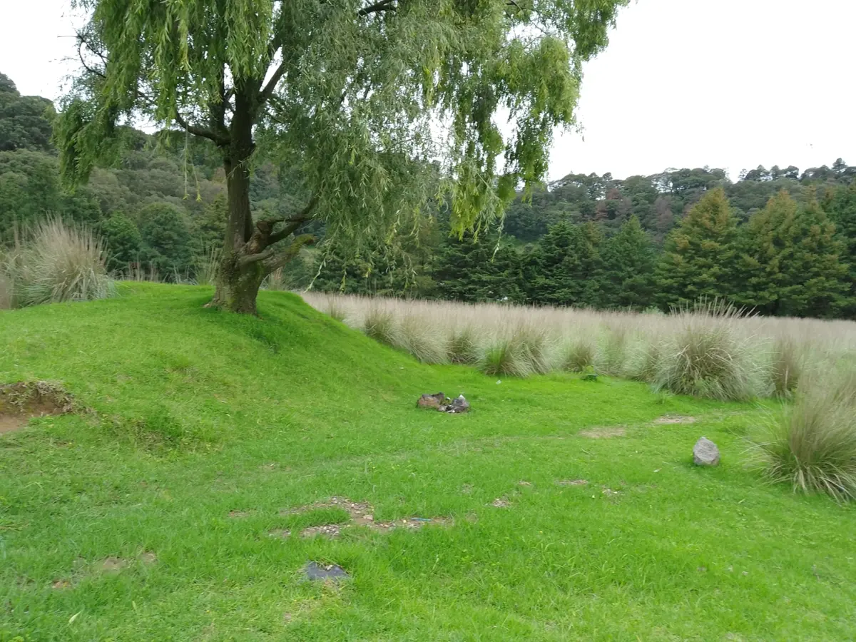 Terreno en venta en San Miguel Ameyalco, Lerma — foto 1 de 2