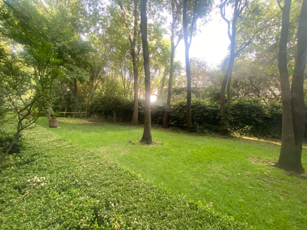 Departamento en venta en Fuentes del Pedregal, Tlalpan — foto 3 de 17