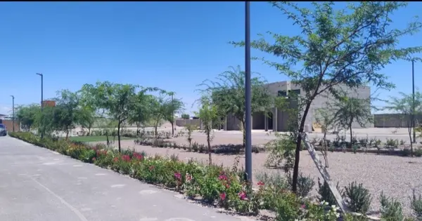 Terreno en venta en Las Trojes, Torreón — foto 3 de 4