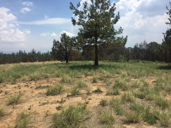 Terreno en venta en San Miguel Ameyalco, Lerma — foto 2 de 2