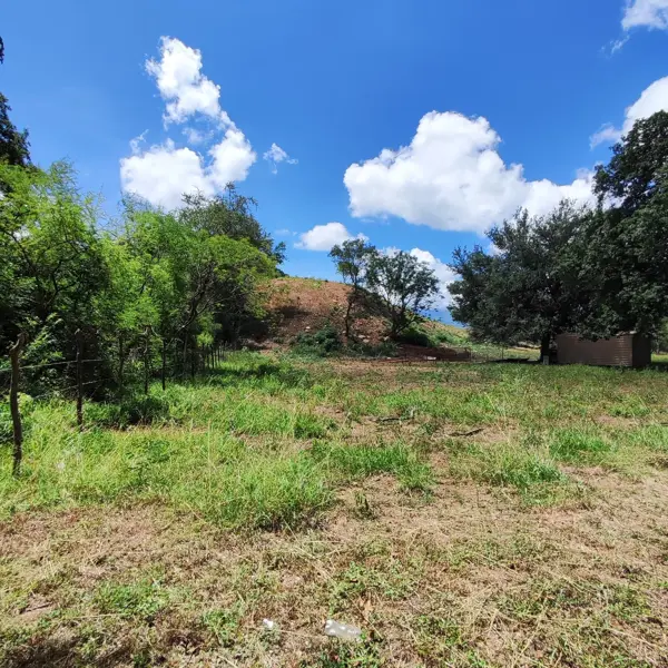 Terreno en venta en Montemorelos Centro, Montemorelos — foto 3 de 10