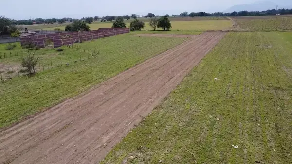 Terreno en venta en Yecapixteca, Yecapixtla — foto 3 de 16