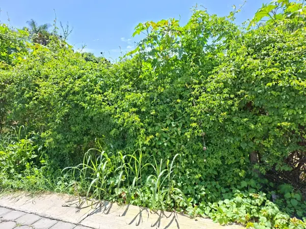 Terreno en venta en Solares Chicos, Atlixco — foto 2 de 7