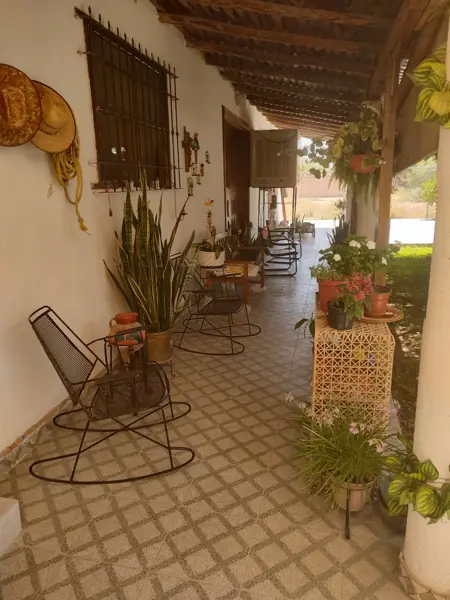 Quinta en venta en El Olivo, Matamoros — foto 2 de 46