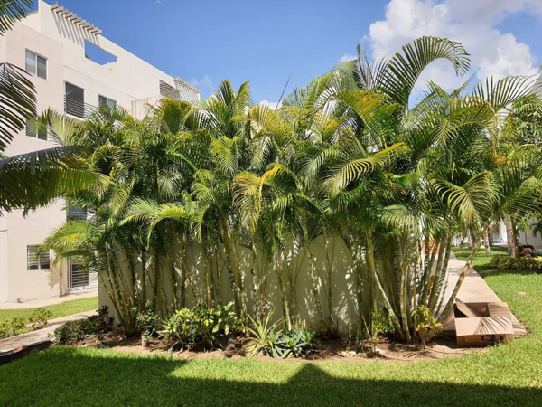 Departamento en venta en Los Olivos, Playa del Carmen — foto 3 de 11