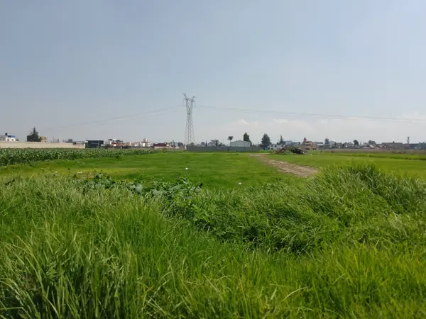 Terreno en venta en San Salvador Tizatlalli, Metepec — foto 3 de 4