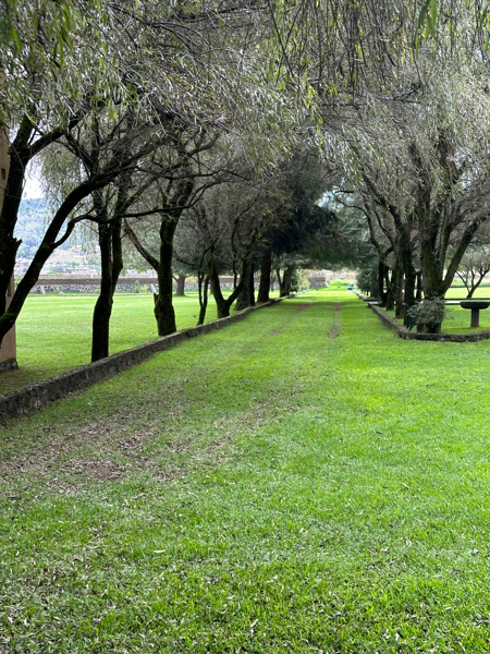 Hermosa Propiedad tipo campestre