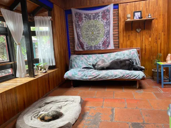 Casa en renta en Lomas Verdes 5a Sección (La Concordia), Naucalpan de Juárez — foto 2 de 12