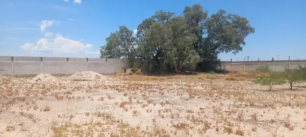 Terreno en venta en El Cambio, Matamoros — foto 3 de 4