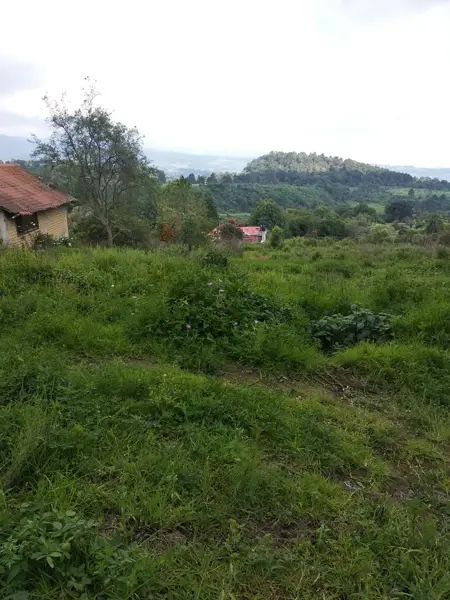 Terreno en venta en Nepantla de Sor Juana Inés de la Cruz, Tepetlixpa — foto 3 de 39