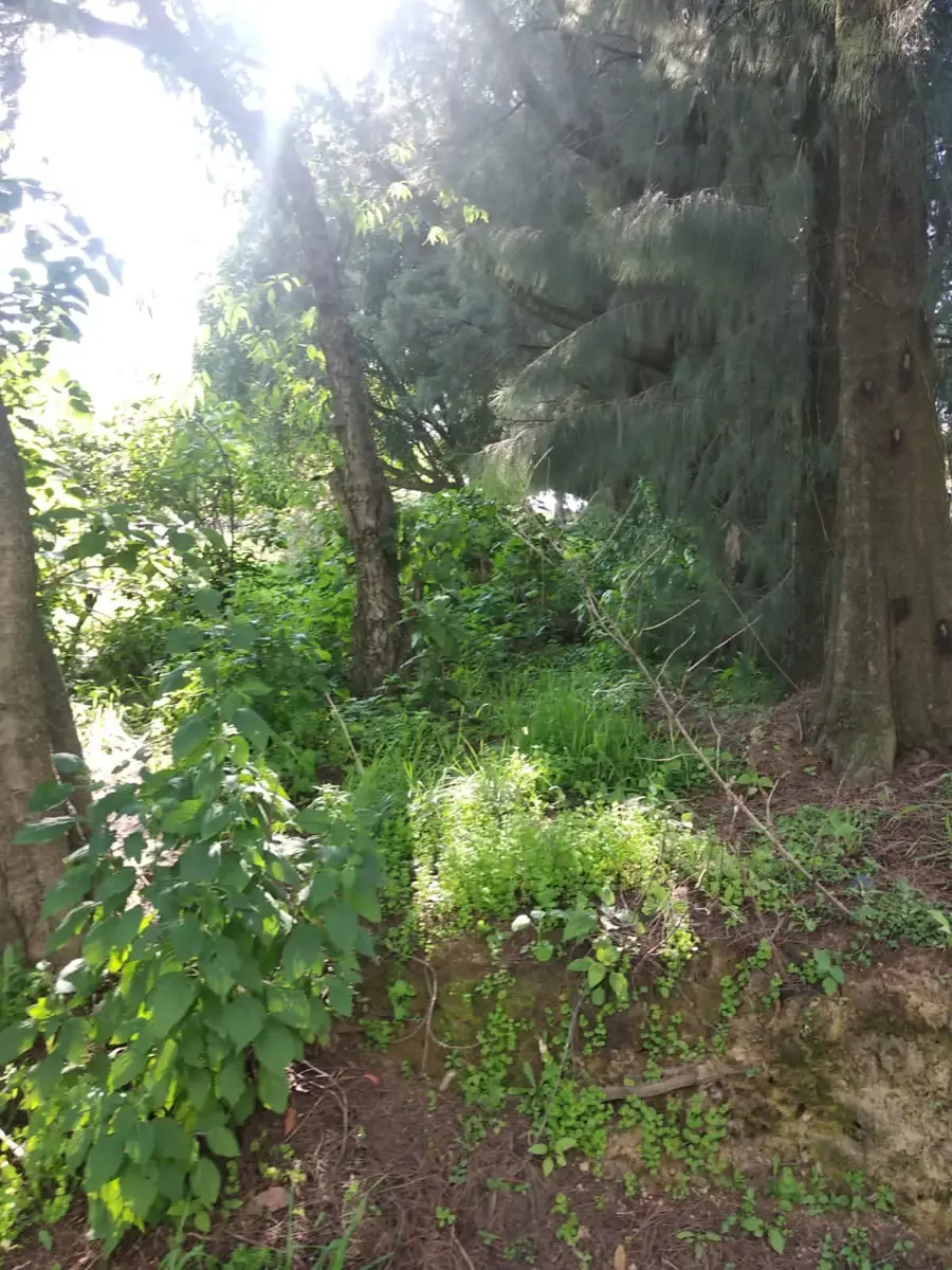 Terreno en venta en Nepantla de Sor Juana Inés de la Cruz, Tepetlixpa — foto 1 de 39