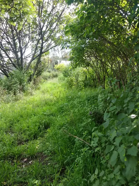 Terreno en venta en Nepantla de Sor Juana Inés de la Cruz, Tepetlixpa — foto 2 de 39