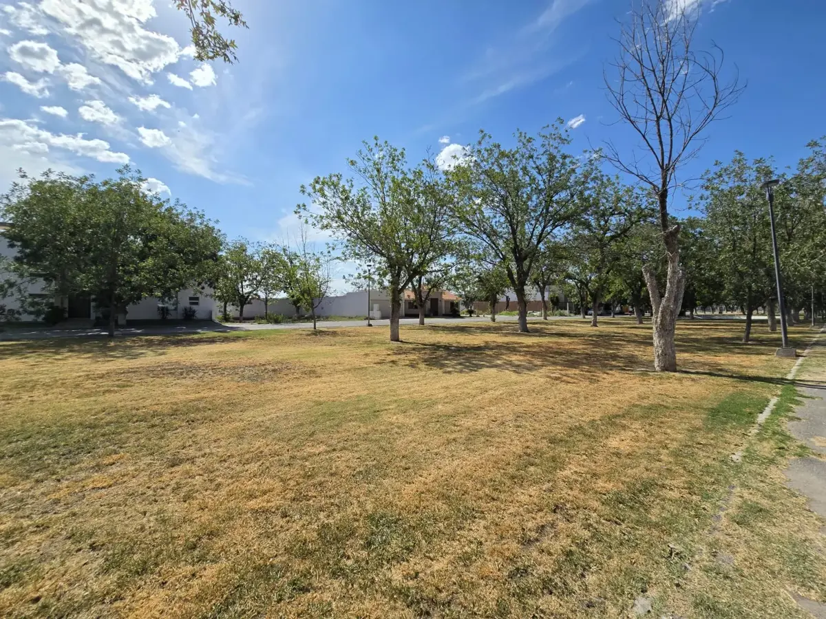 Vista 2 de Terreno en Venta en Las Trojes, Torreón, Coahuila de Zaragoza