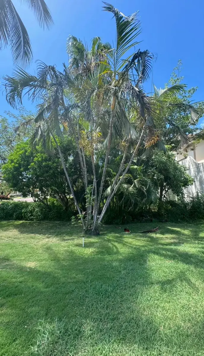 Terreno en venta en Zona Hotelera, Benito Juárez — foto 1 de 10