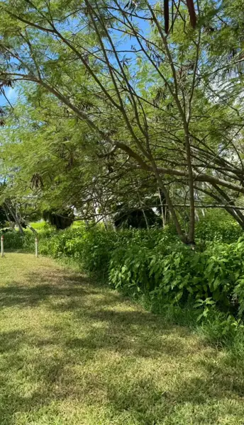 Terreno en venta en Zona Hotelera, Benito Juárez — foto 2 de 10