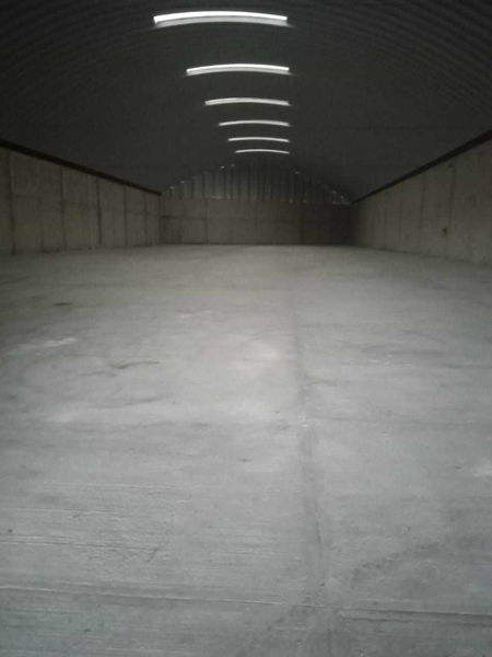 Nave en renta en Alfredo V. Bonfil, Benito Juárez — foto 3 de 9