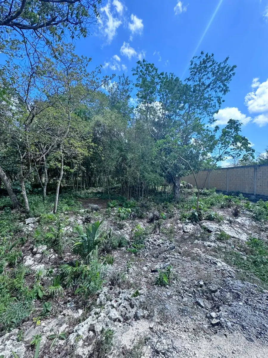 Terreno en renta en Supermanzana 55, Benito Juárez — foto 1 de 5