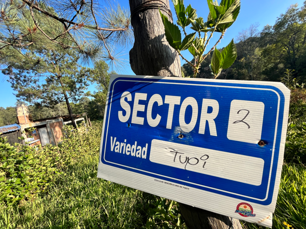 Terreno en venta en Loma de Cancho, Madero — foto 2 de 19