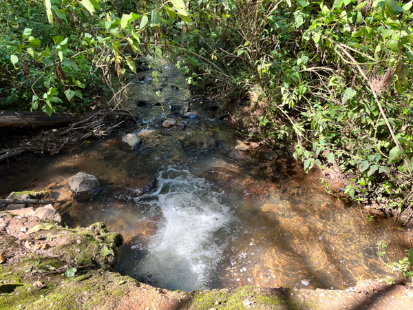 Terreno en venta en El Vaquerito, Charo — foto 3 de 14