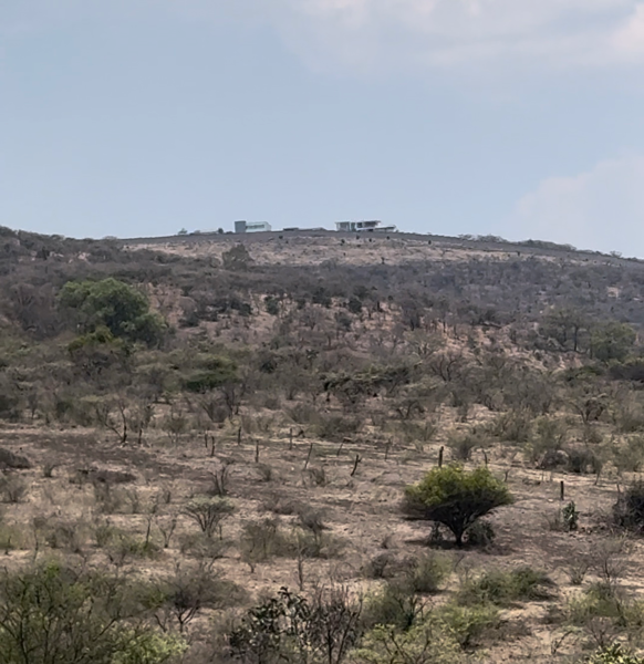 Terreno en venta en La Goleta, Charo — foto 2 de 8