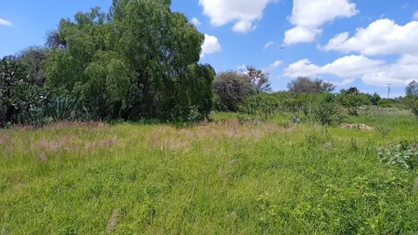 Terreno en venta en Tenampa (Guadianilla), San Miguel de Allende — foto 2 de 10