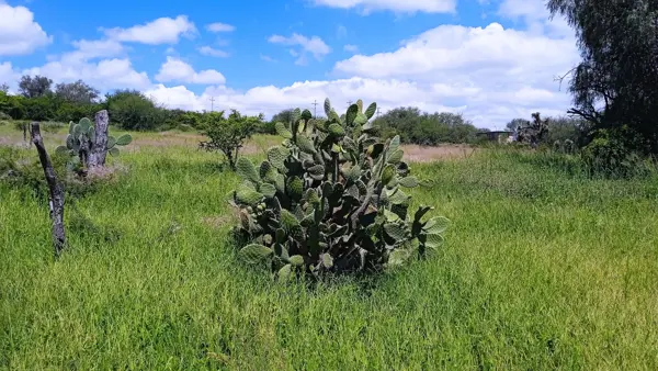 Terreno en venta en Tenampa (Guadianilla), San Miguel de Allende — foto 3 de 10
