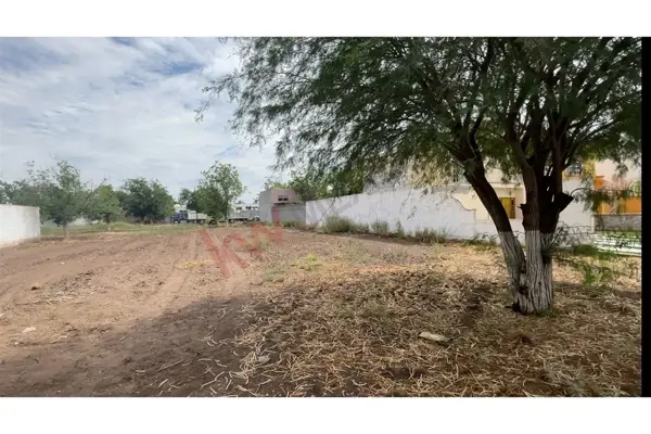 Terreno en venta en San Armando, Torreón — foto 3 de 8