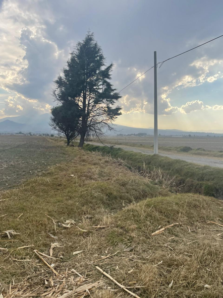 Terreno