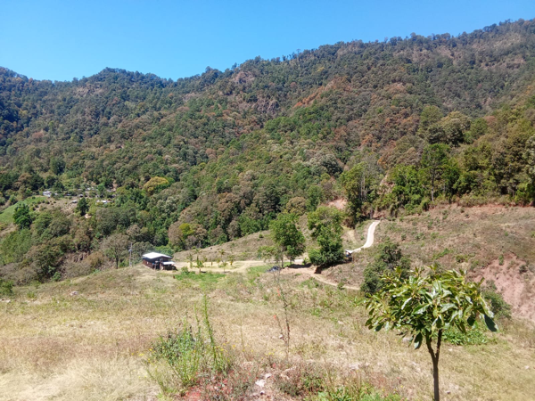 Terreno en venta en Los Llanos, Tzitzio — foto 3 de 12