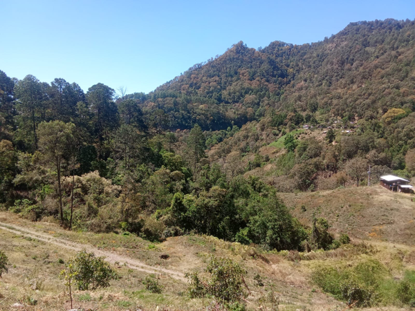 Terreno en venta en Los Llanos, Tzitzio — foto 2 de 12