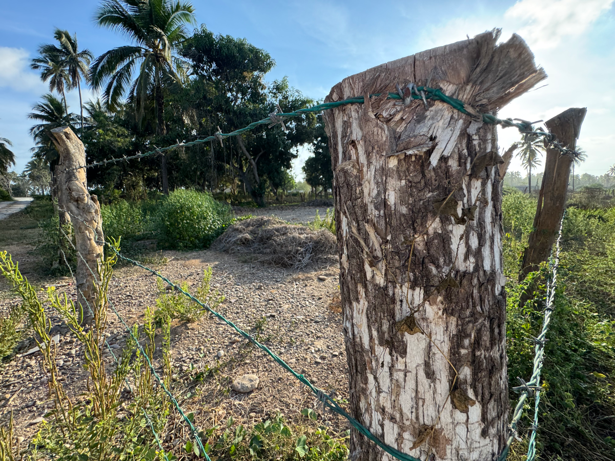 Terreno en venta en Siderúrgica Lázaro Cárdenas Las Truchas, Lázaro Cárdenas — foto 1 de 12