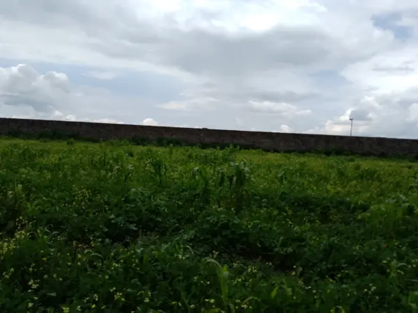 Terreno en venta en San Miguel Totocuitlapilco, Metepec — foto 3 de 4