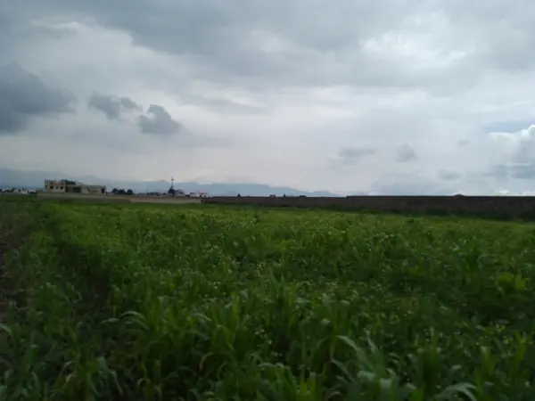 Terreno en venta en San Miguel Totocuitlapilco, Metepec — foto 2 de 4