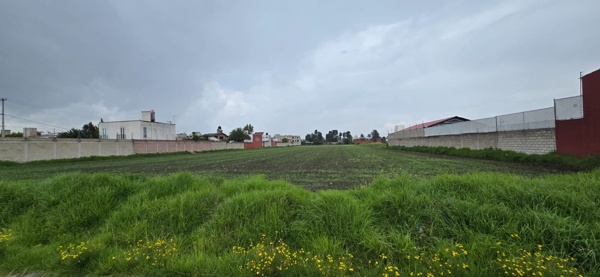 Terreno en venta en Agrícola Lázaro Cárdenas, Metepec — foto 3 de 3